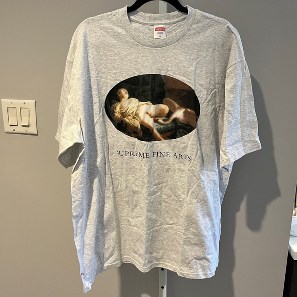 Supreme | Tops | Supreme Leda And The Swan Grey Fine Arts T